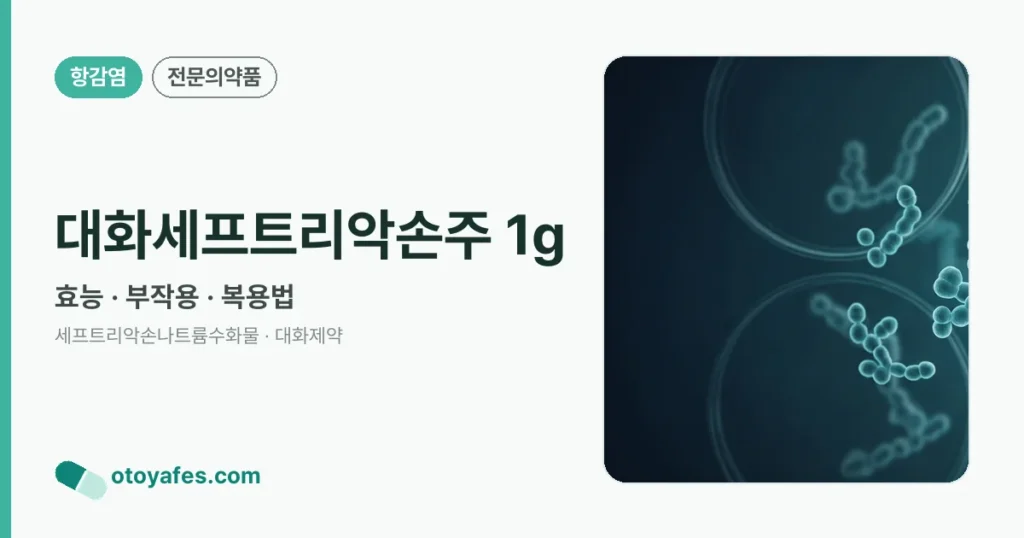대화세프트리악손주 1g 정리 썸네일