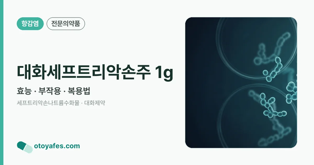 대화세프트리악손주 1g 정리 썸네일