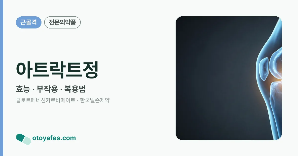 아트락트정 정리 썸네일