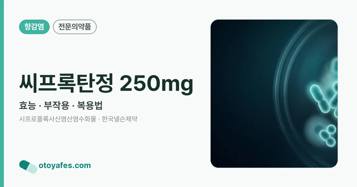 씨프록탄정 250mg 정리 썸네일