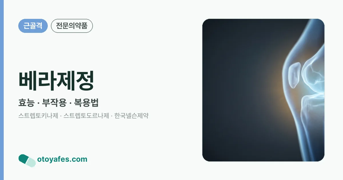 베라제정 정리 썸네일