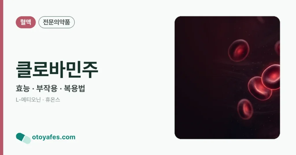 클로바민주 정리 썸네일