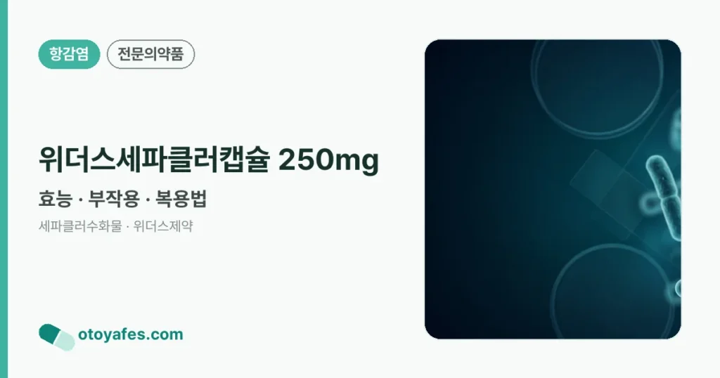 위더스세파클러캡슐 250mg 정리 썸네일