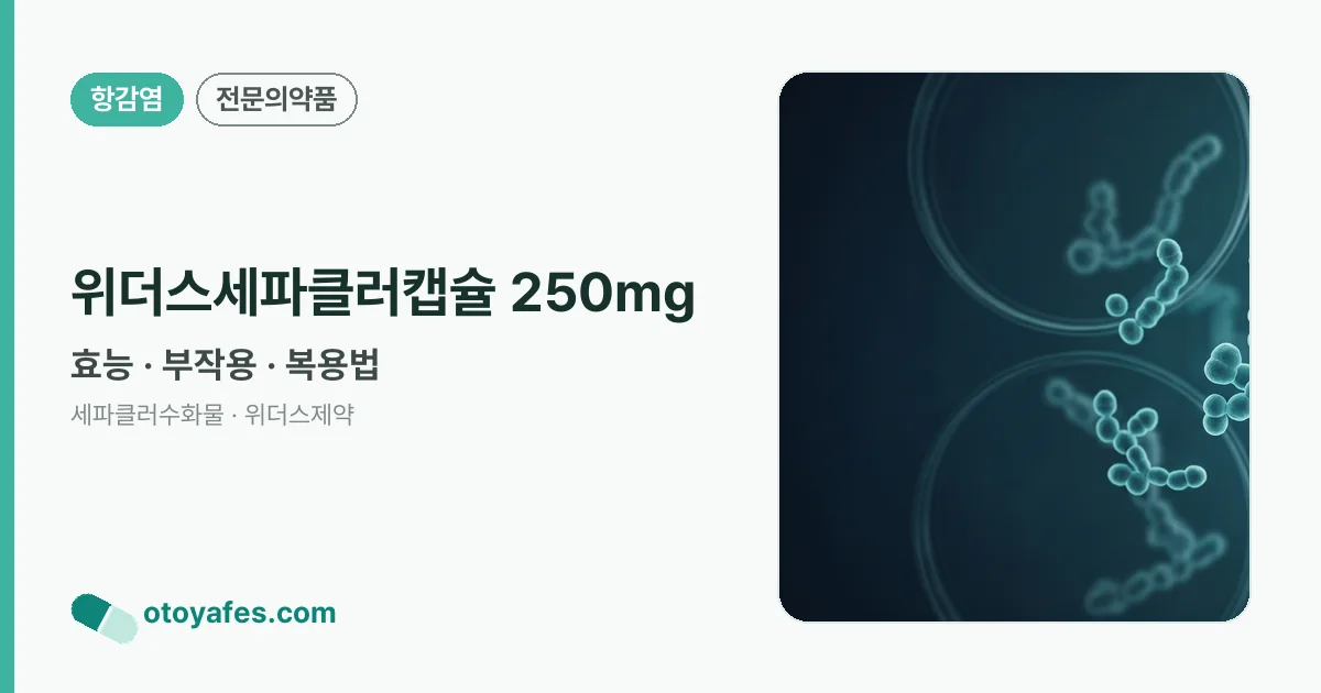 위더스세파클러캡슐 250mg 정리 썸네일