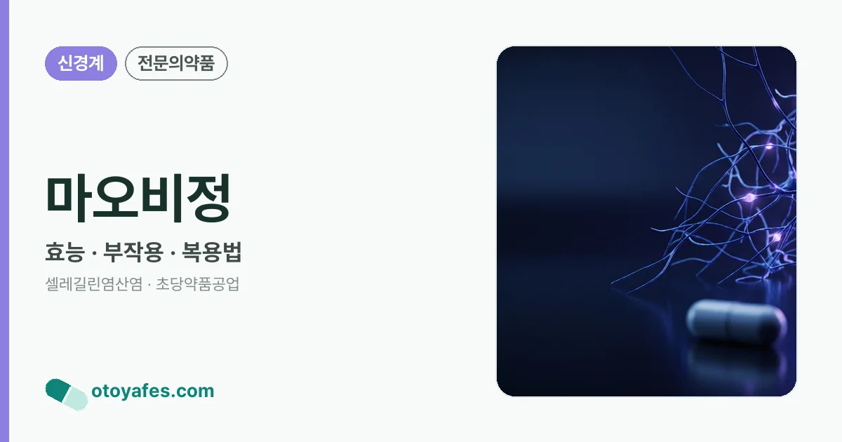 마오비정 정리 썸네일