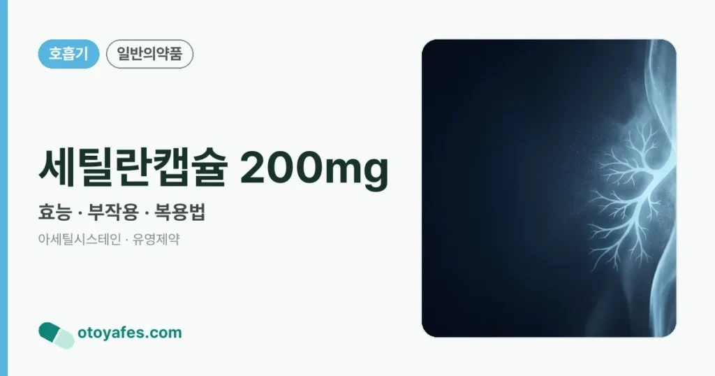 세틸란캡슐 200mg 정리 썸네일