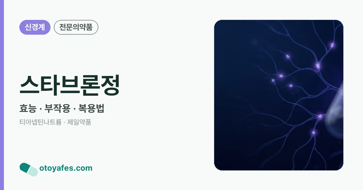 스타브론정 정리 썸네일