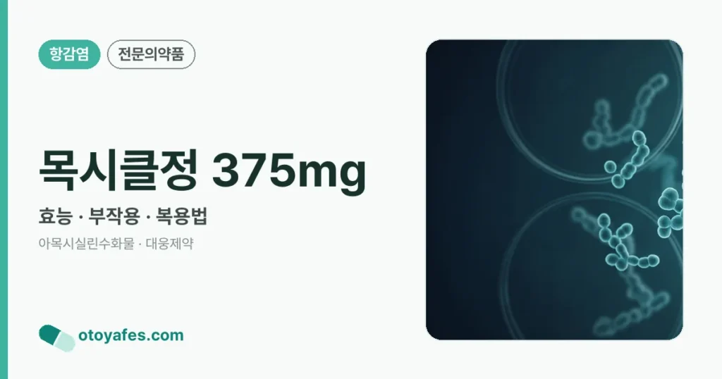 목시클정 375mg 정리 썸네일