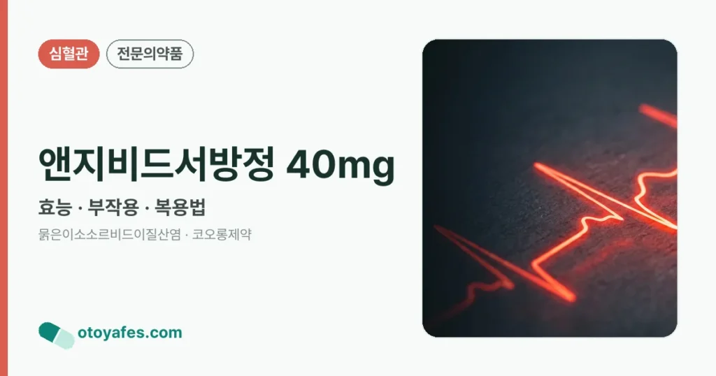 앤지비드서방정 40mg 정리 썸네일
