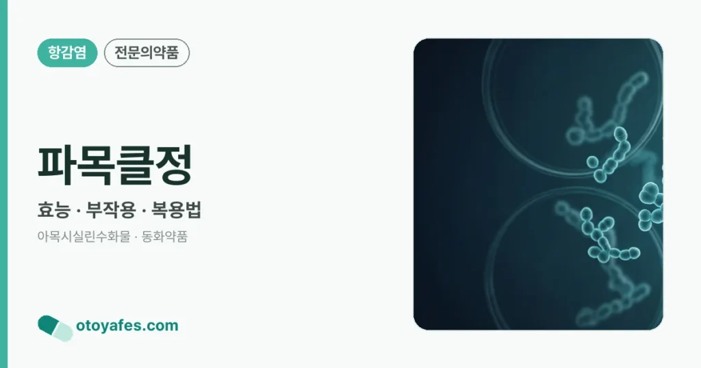 파목클정 정리 썸네일