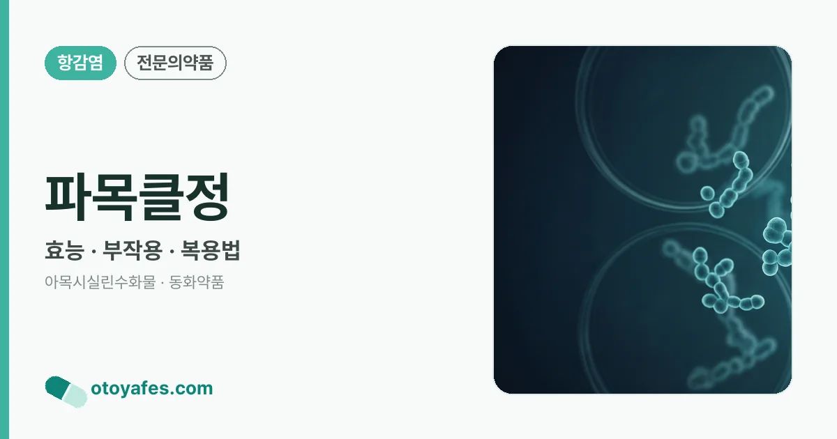 파목클정 정리 썸네일