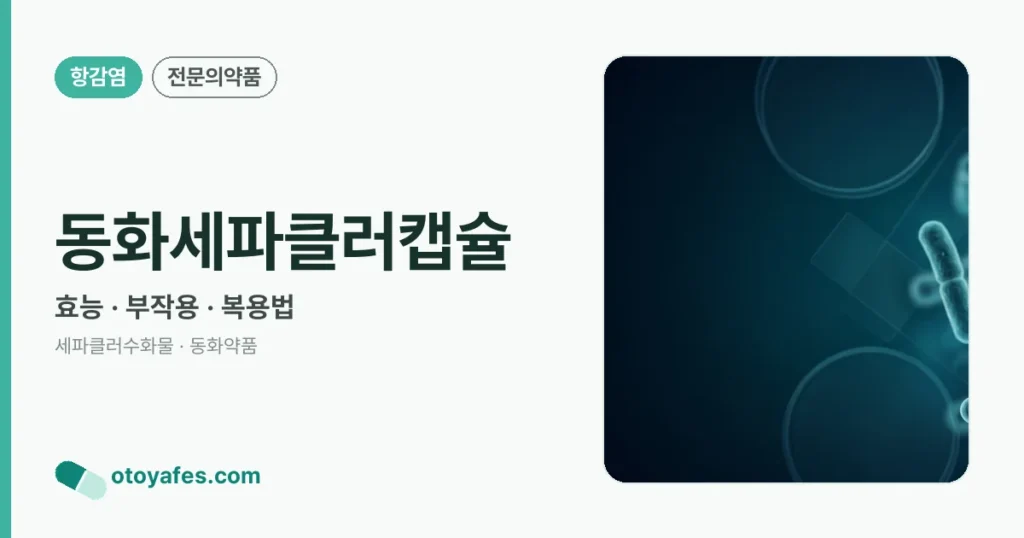 동화세파클러캡슐 정리 썸네일