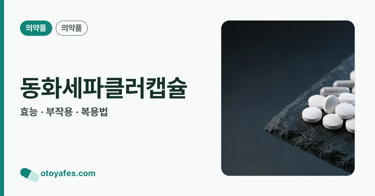 동화세파클러캡슐 정리 썸네일