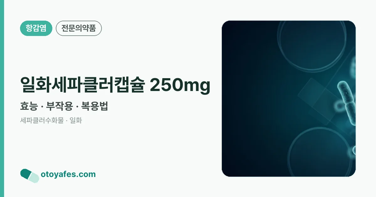 일화세파클러캡슐 250mg 정리 썸네일