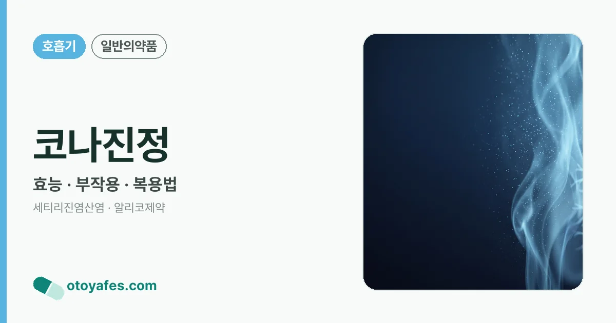 코나진정 정리 썸네일