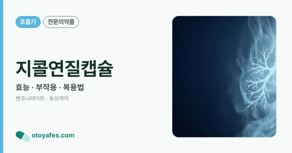 지콜연질캡슐 올바른 복용 방법과 효과 정리