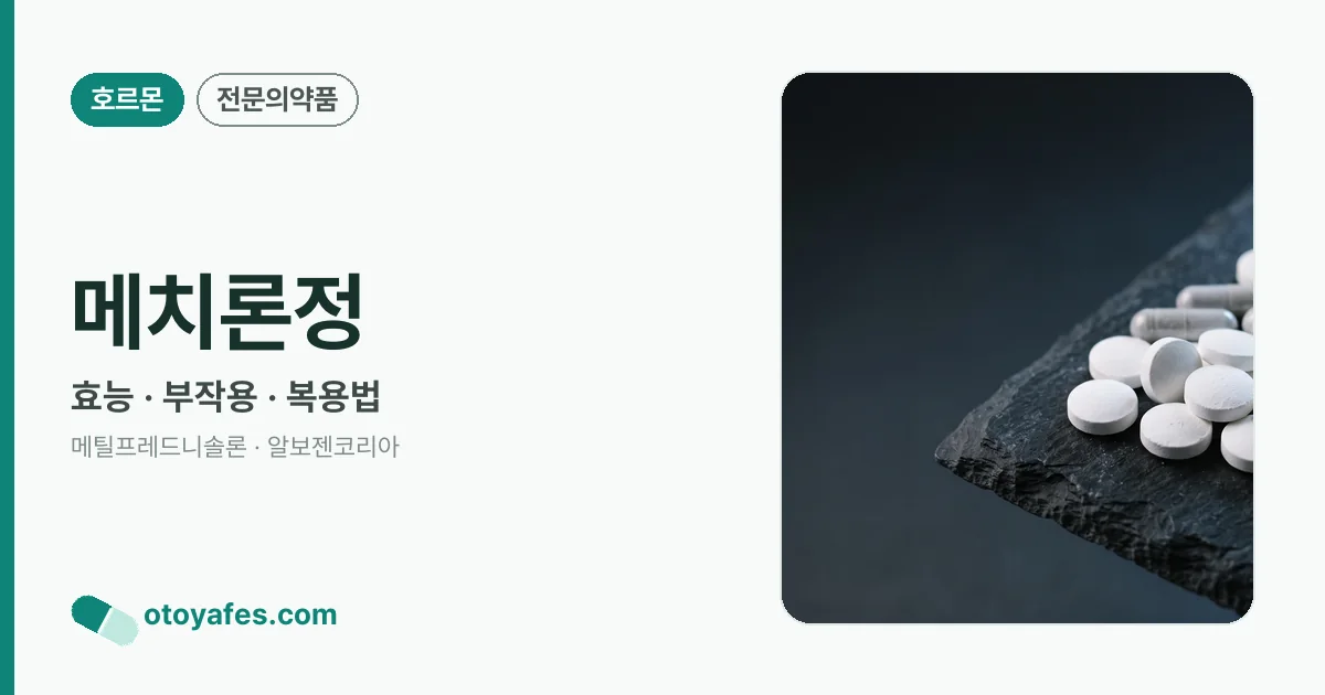 메치론정 정리 썸네일