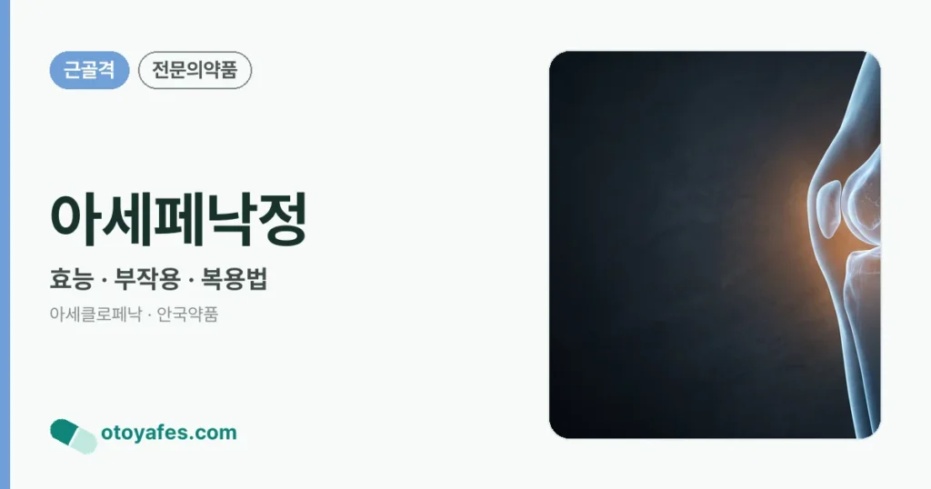 아세페낙정 정리 썸네일