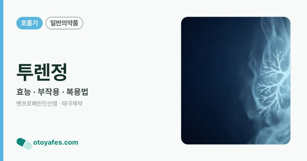 투렌정 정리 썸네일