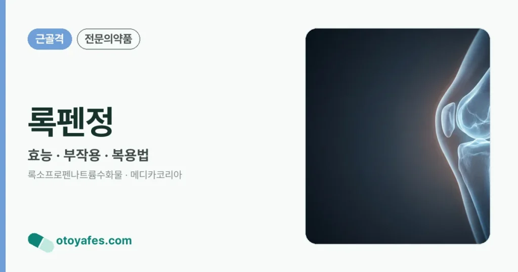 록펜정 정리 썸네일
