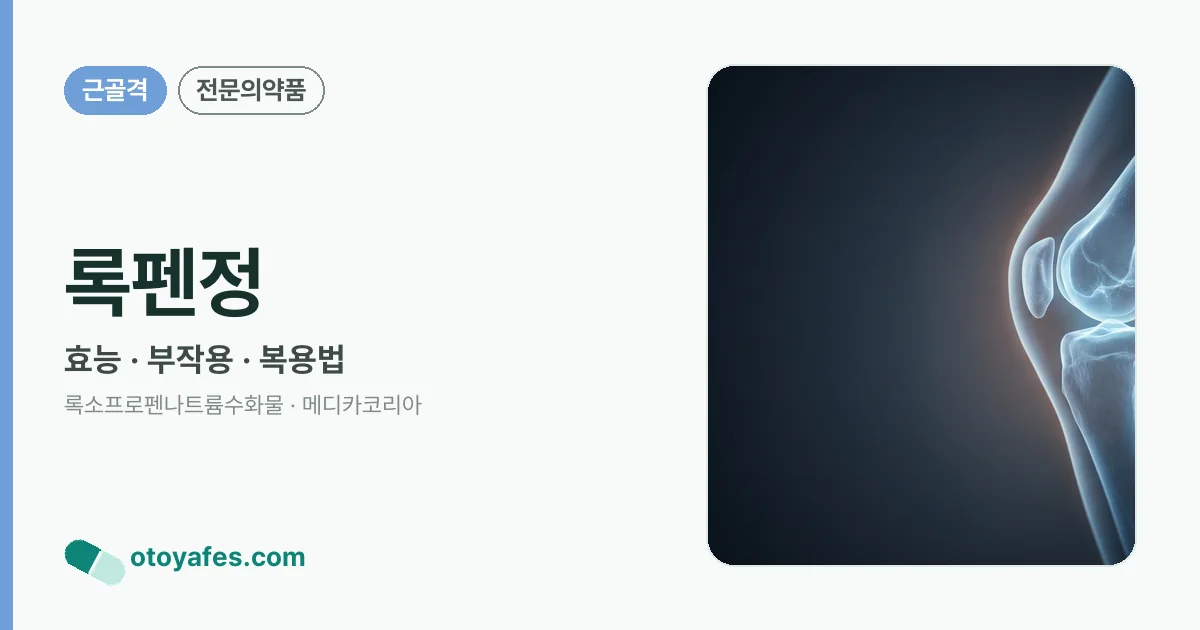 록펜정 정리 썸네일