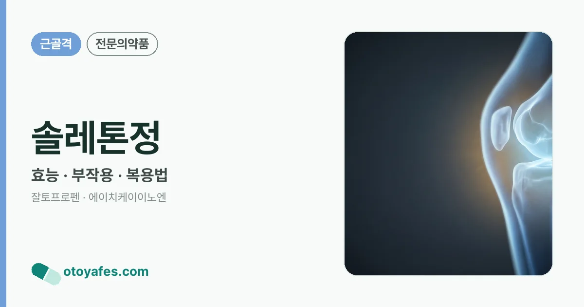 솔레톤정 정리 썸네일