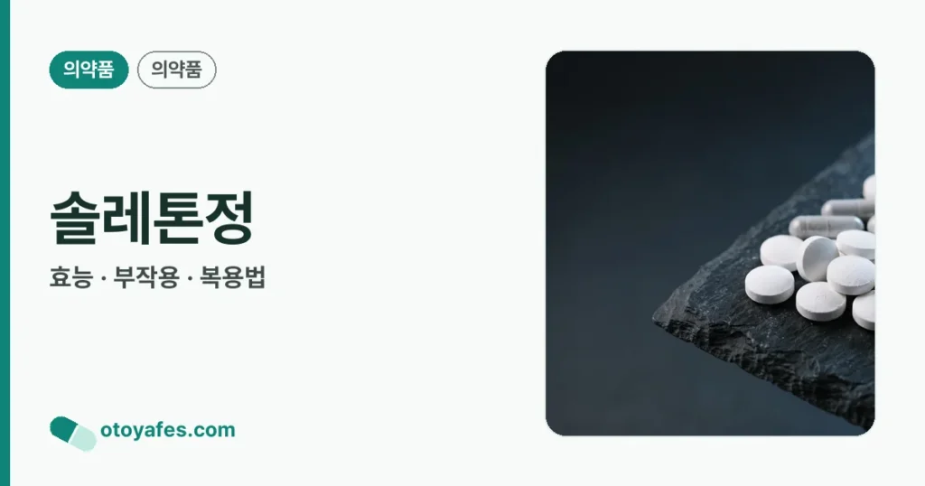 솔레톤정 정리 썸네일