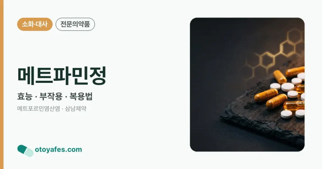 메트파민정 정리 썸네일