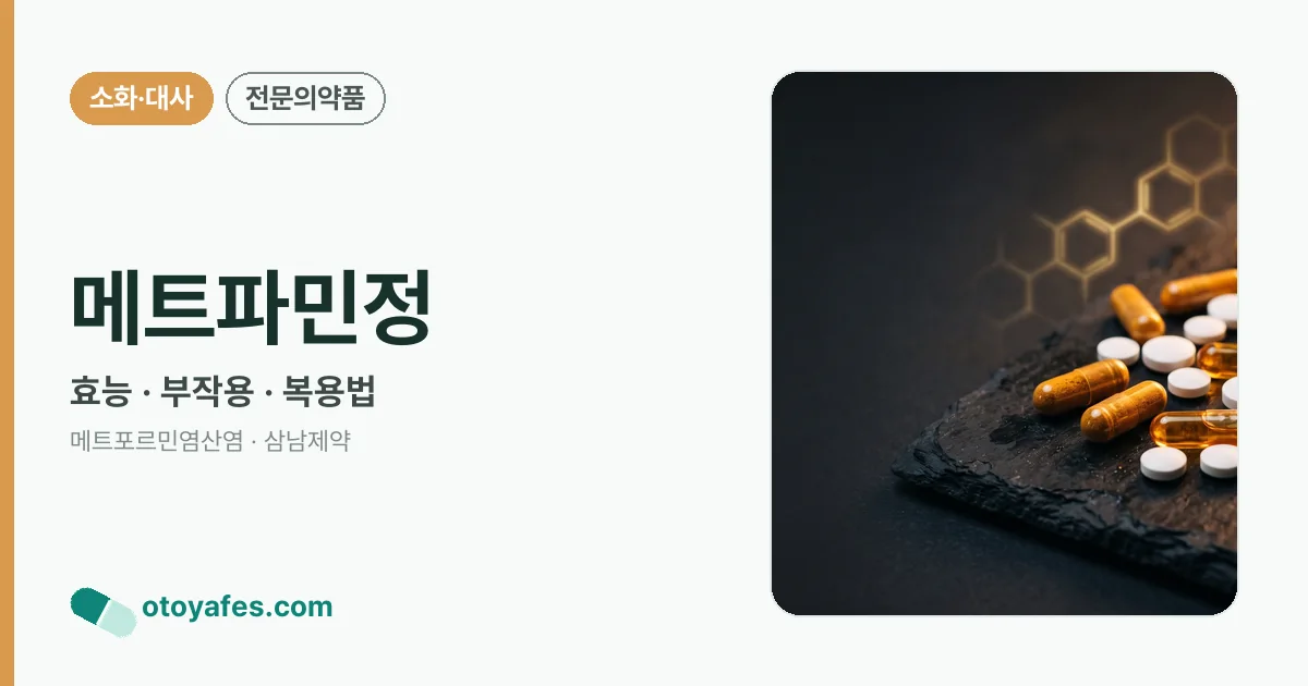 메트파민정 정리 썸네일