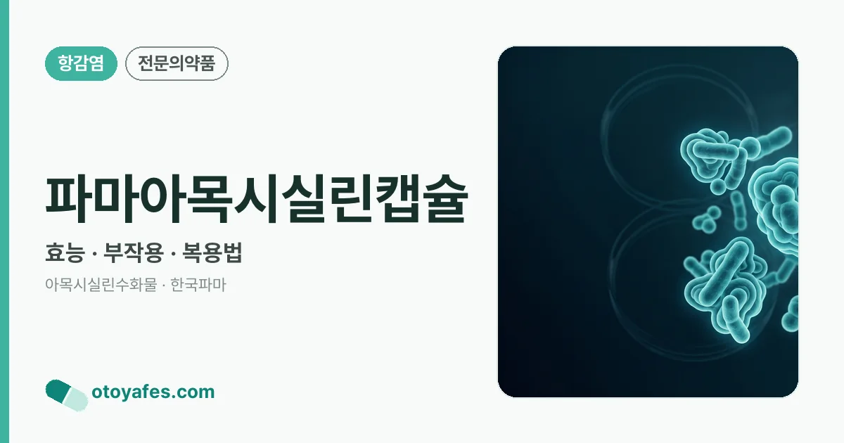 파마아목시실린캡슐 정리 썸네일