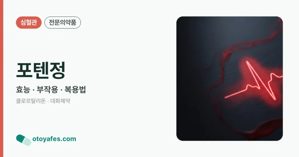 포텐정 정리 썸네일