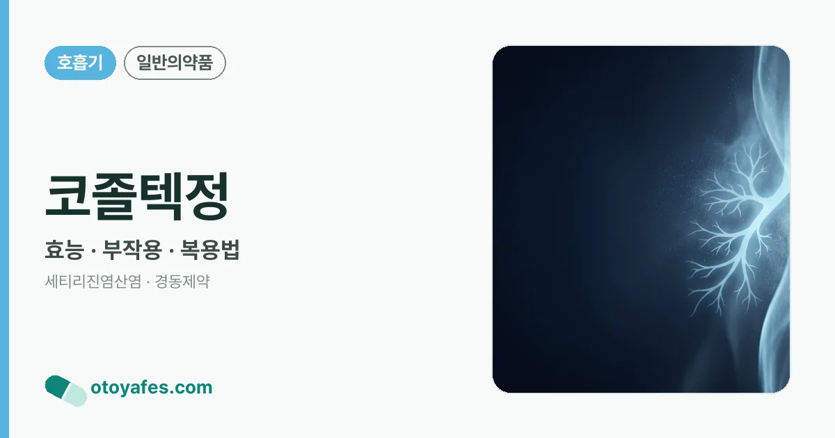 코졸텍정 정리 썸네일