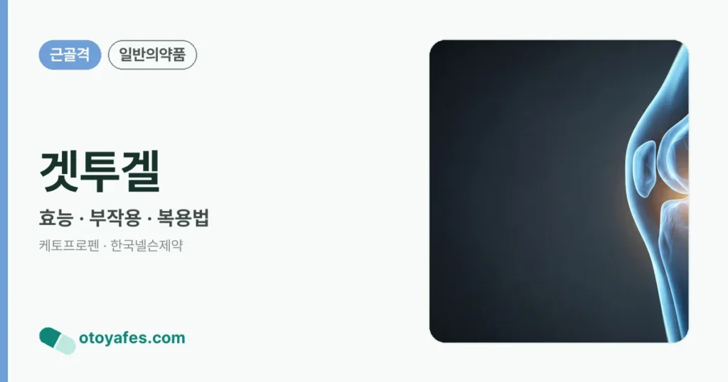 겟투겔 정리 썸네일