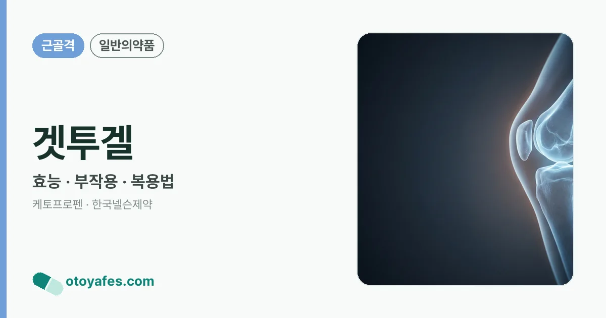 겟투겔 정리 썸네일