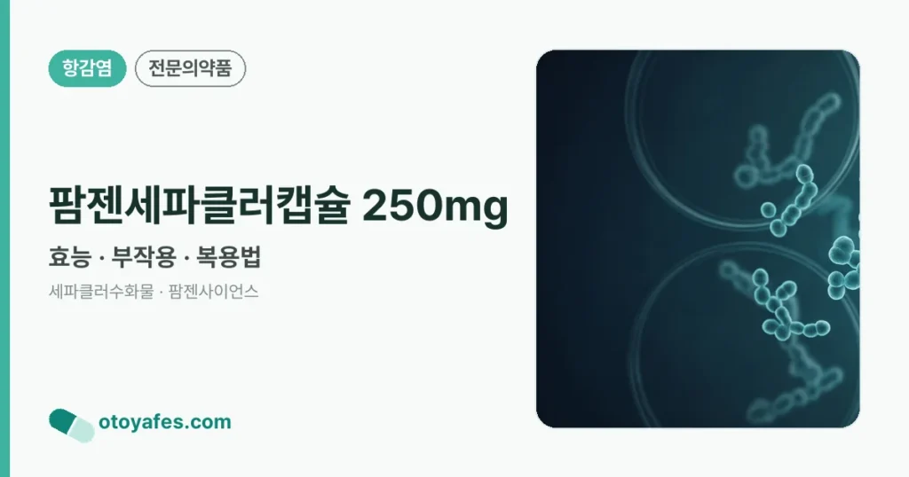 팜젠세파클러캡슐 250mg 정리 썸네일