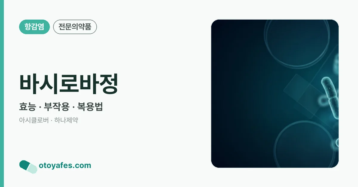 바시로바정 정리 썸네일