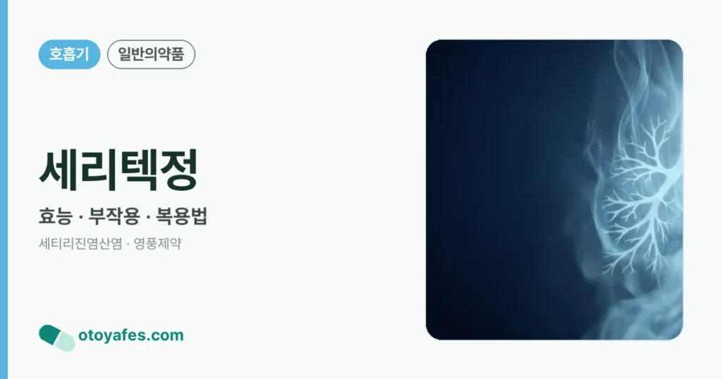 세리텍정 정리 썸네일