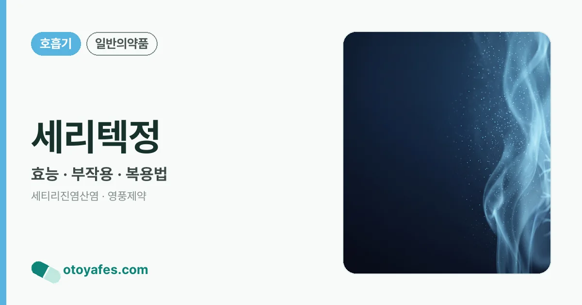 세리텍정 정리 썸네일