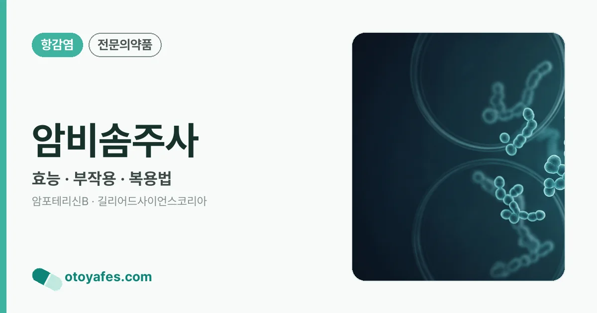 암비솜주사 정리 썸네일