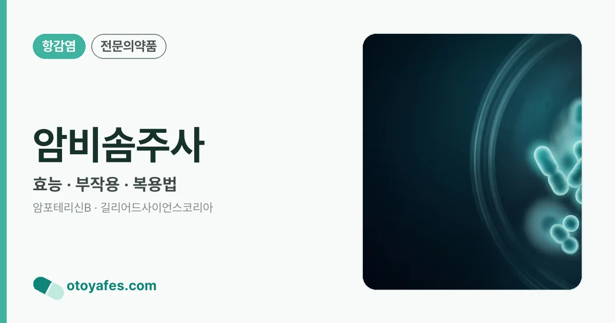 암비솜주사 정리 썸네일