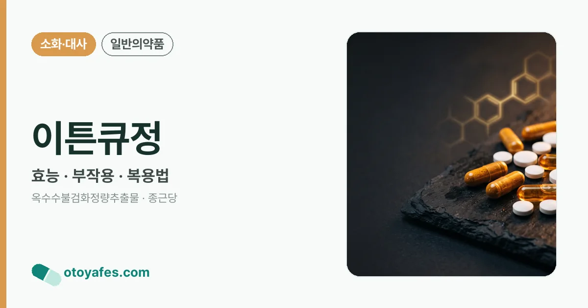 이튼큐정 정리 썸네일