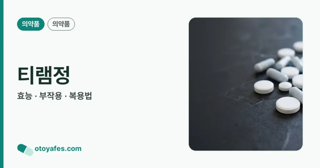 티램정 정리 썸네일
