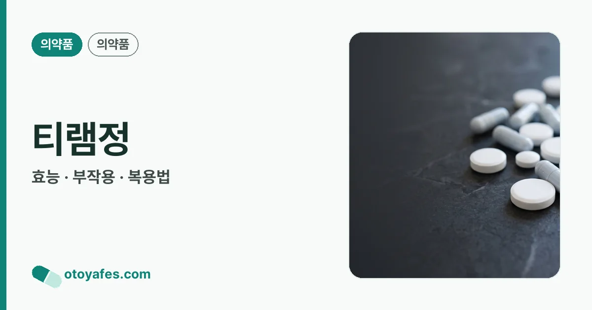 티램정 정리 썸네일
