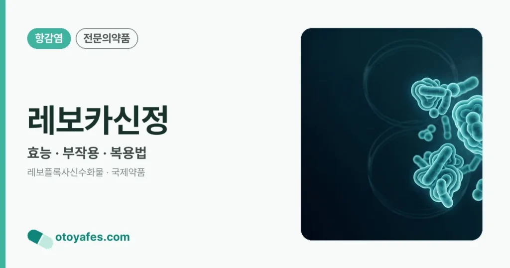 레보카신정 정리 썸네일
