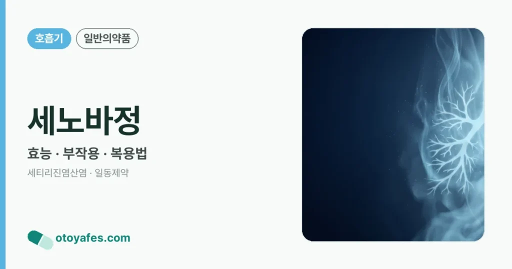 세노바정 정리 썸네일