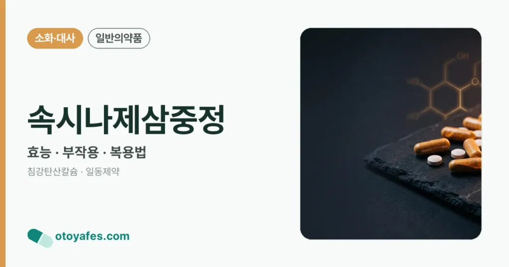 속시나제삼중정 정리 썸네일