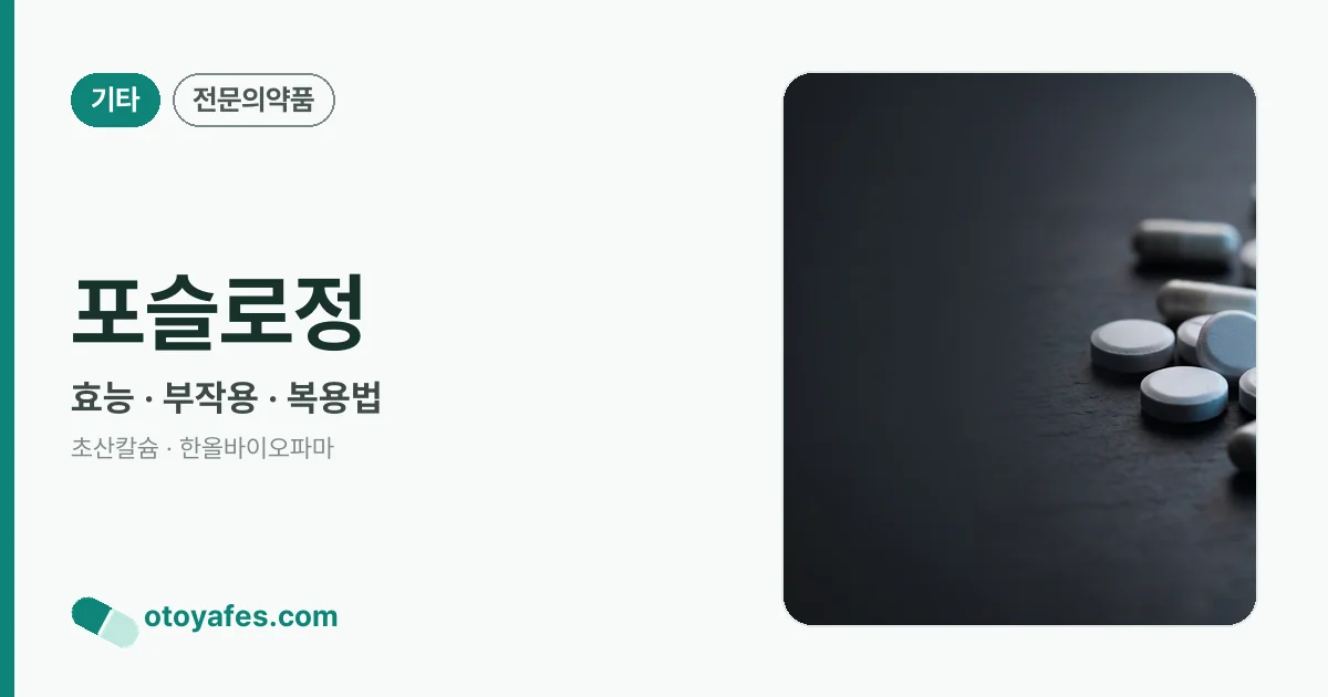 포슬로정 정리 썸네일