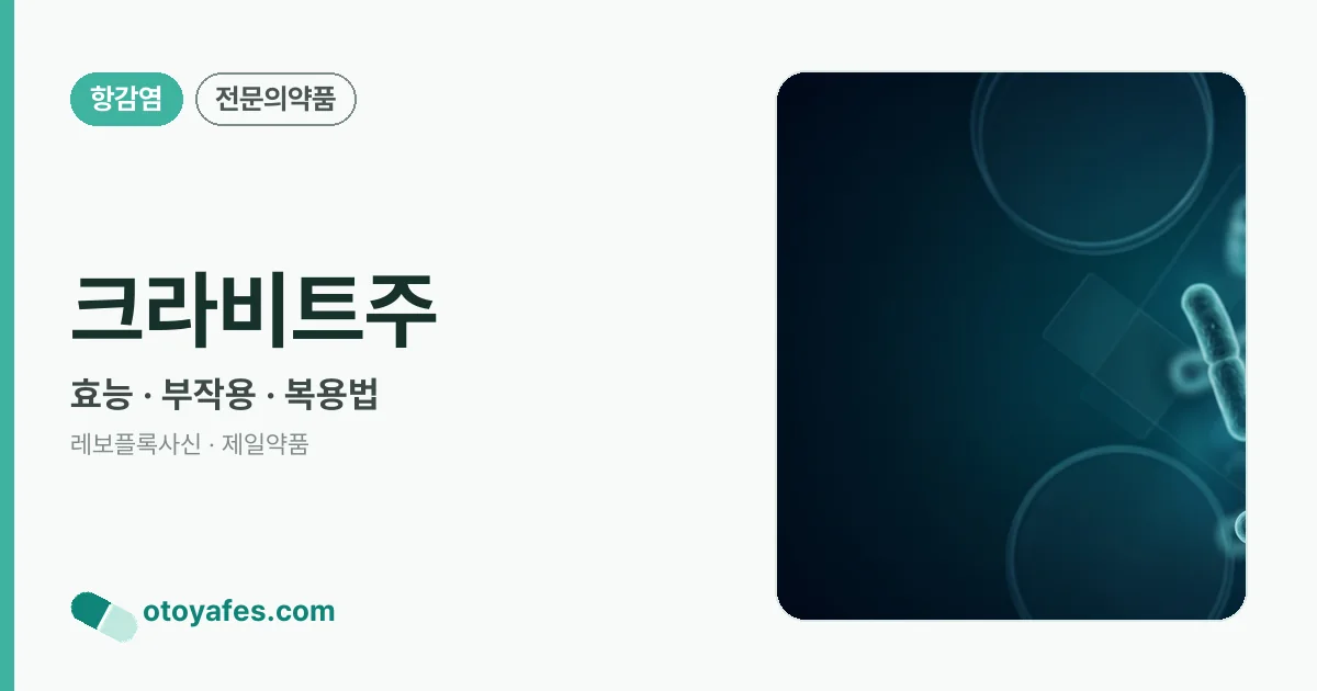 크라비트주 정리 썸네일