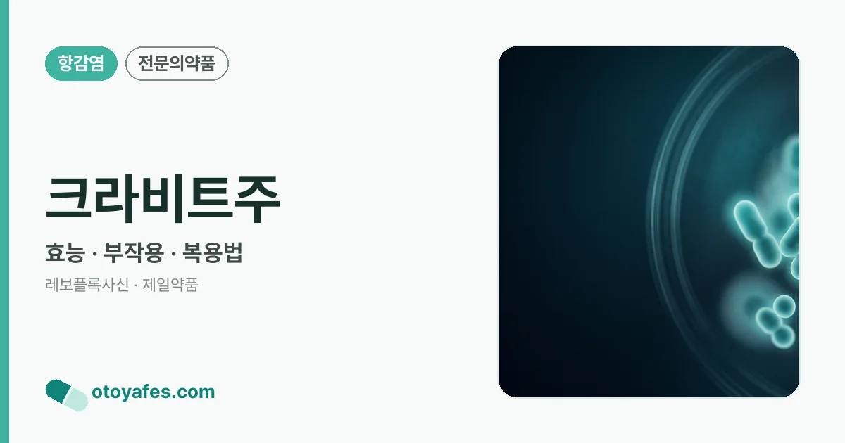 크라비트주 정리 썸네일
