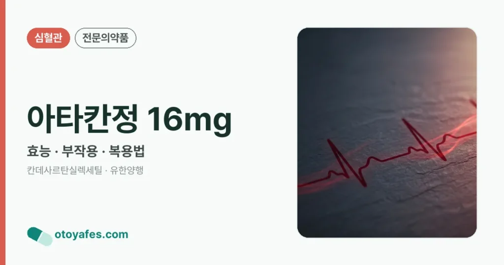 아타칸정 16mg 정리 썸네일